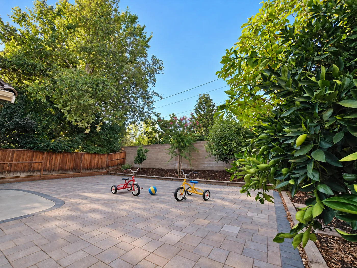 Fully fenced private backyard play area at Lia's Preschool in Danville, CA with tricycles, a ball, paver patio and a lemon tree